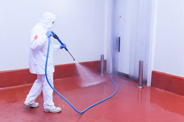 Best Soft Washing  in Woonsocket, RI